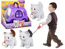 Pluszak interaktywny kot na smyczy z transporterem Adar (625433) Adar