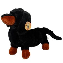 Pluszak jamnik [mm:] 360 Deef (04277) Deef