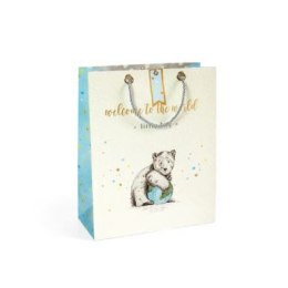 Torba prezentowa little boy, L, 5szt. [mm:] 320x260x 120 Argo (257044) Argo