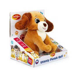 Zabawka edukacyjna USZATY PIESEK RAFI Dumel (DD30847) Dumel