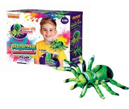 Zestaw kreatywny dla dzieci MAGICZNE MALOWANIE - PAJĄK Dumel (DD30617) Dumel