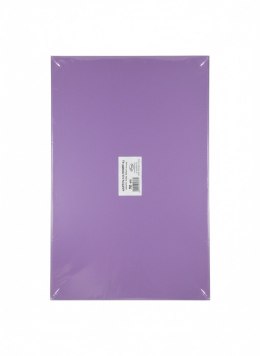 Brystol A3 fioletowy ciemny 160g 20k Protos Protos