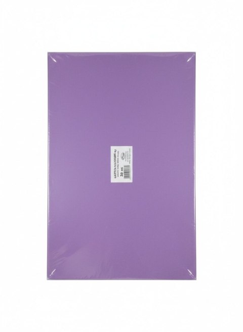 Brystol A3 fioletowy ciemny 160g 20k Protos Protos