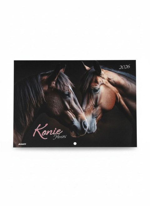 Kalendarz ścienny KONIE wieloplanszowy 285mm x 410mm Avanti (KA-10) Avanti