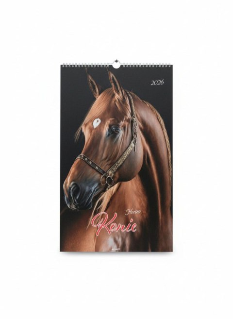 Kalendarz ścienny KONIE wieloplanszowy paskowy 285mm x 420mm Avanti (A3-2) Avanti