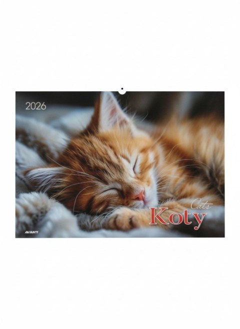 Kalendarz ścienny KOTY wieloplanszowy 285mm x 410mm Avanti (KA-1) Avanti