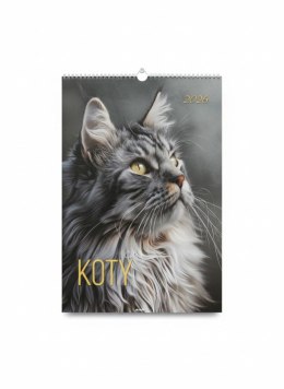 Kalendarz ścienny KOTY wieloplanszowy paskowy 285mm x 410mm Avanti (A3-13) Avanti