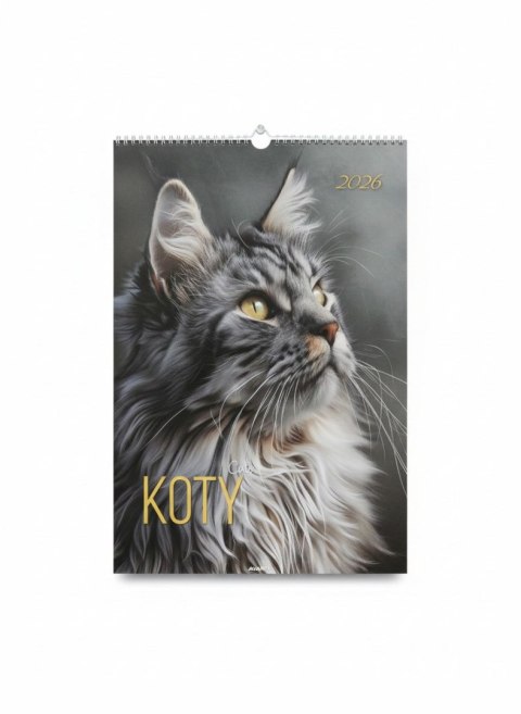 Kalendarz ścienny KOTY wieloplanszowy paskowy 285mm x 410mm Avanti (A3-13) Avanti
