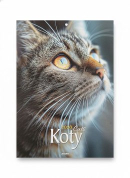 Kalendarz ścienny MAŁY Koty 230mm x 305mm Avanti (KSM-4) Avanti