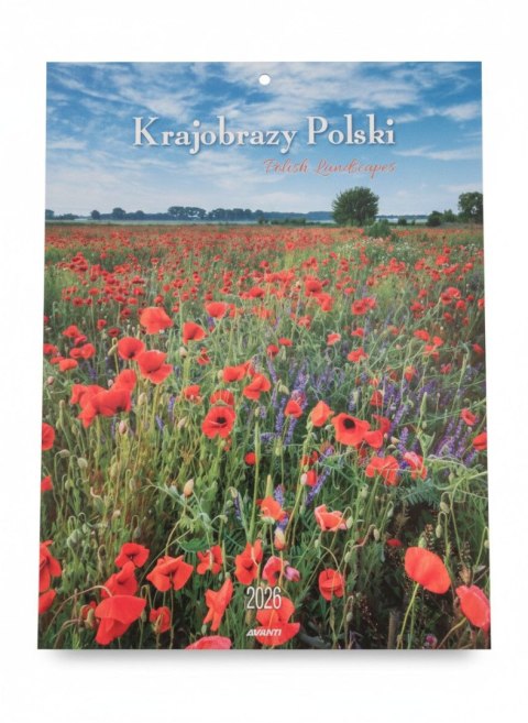 Kalendarz ścienny MAŁY Krajobrazy 230mm x 305mm Avanti (KSM-1) Avanti