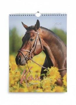Kalendarz ścienny MAŁY SPIRALA KONIE 230mm x 305mm Avanti (KSMS-5) Avanti