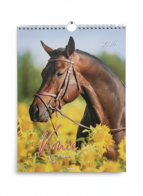 Kalendarz ścienny MAŁY SPIRALA KONIE 230mm x 305mm Avanti (KSMS-5) Avanti