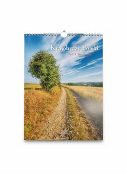 Kalendarz ścienny MAŁY SPIRALA Krajobrazy 230mm x 305mm Avanti (KSMS-1) Avanti