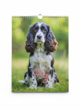 Kalendarz ścienny MAŁY SPIRALA PSY 230mm x 305mm Avanti (KSMS-3) Avanti