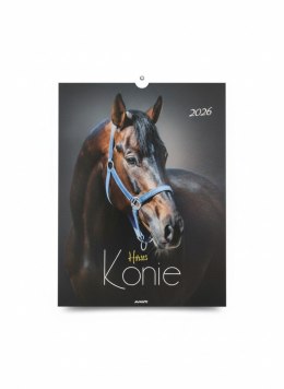 Kalendarz ścienny MAŁY wieloplanszowy 230mm x 320mm Avanti (KSM-5) Avanti