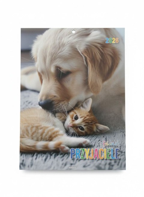 Kalendarz ścienny MAŁY wieloplanszowy 230mm x 320mm Avanti (KSM-7) Avanti