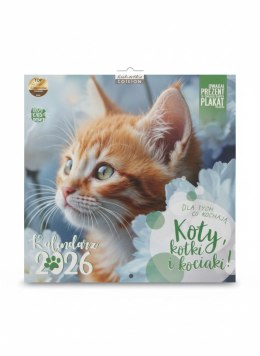 Kalendarz ścienny classic KOTY 300mm x 300mm Kukartka Kukartka