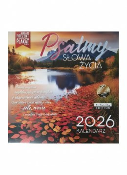 Kalendarz ścienny classic Q Plasmy Kukartka Kukartka