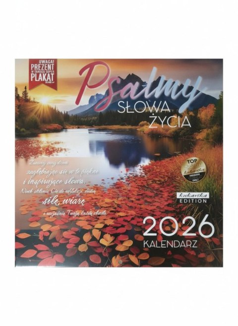 Kalendarz ścienny classic Q Plasmy Kukartka Kukartka