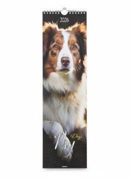Kalendarz ścienny paskowy Psy 130mm x 460mm Avanti (KP-1) Avanti
