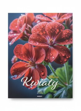 Kalendarz ścienny wieloplanszowy 230mm x 320mm Avanti (KSM-6) Avanti