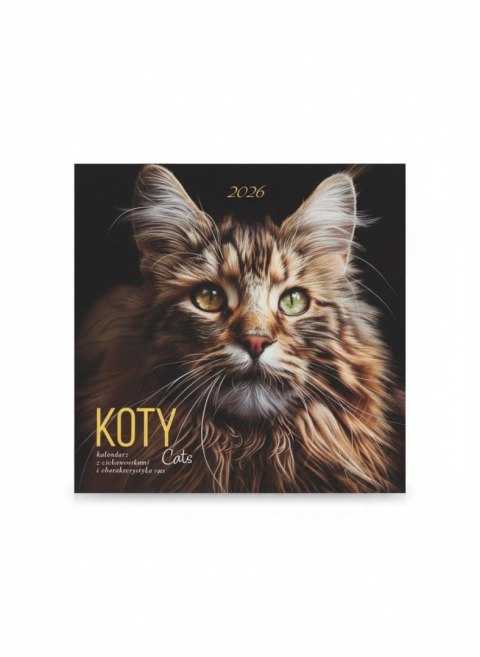 Kalendarz ścienny wieloplanszowy 300mm x 300mm Avanti (KAD-9) Avanti