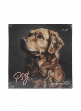 Kalendarz ścienny wieloplanszowy 300mm x 600mm Avanti (KAD-10) Avanti