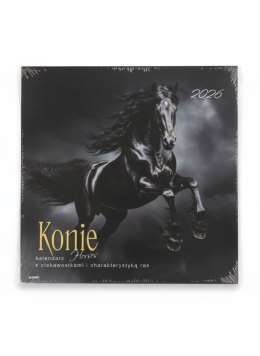 Kalendarz ścienny wieloplanszowy 300mm x 600mm Avanti (KAD-11) Avanti