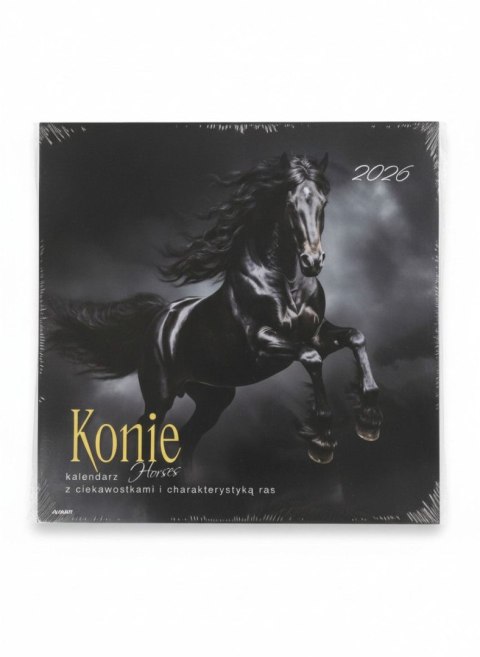 Kalendarz ścienny wieloplanszowy 300mm x 600mm Avanti (KAD-11) Avanti