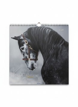 Kalendarz ścienny wieloplanszowy 330mm x 330mm Avanti (5901769620292) Avanti