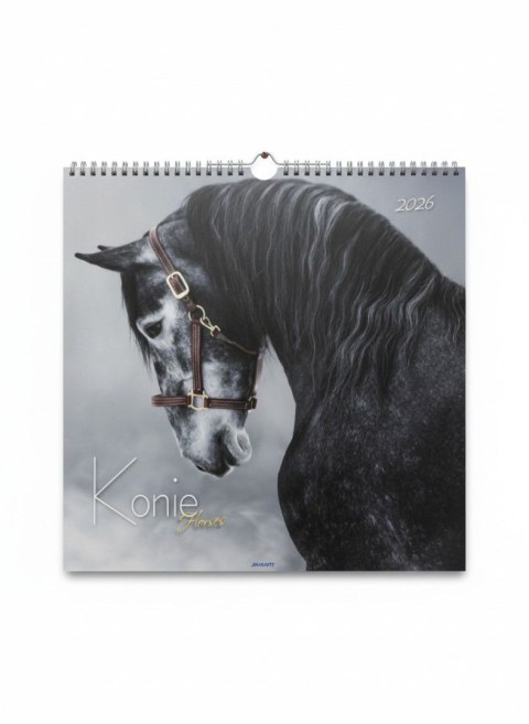 Kalendarz ścienny wieloplanszowy 330mm x 330mm Avanti (5901769620292) Avanti