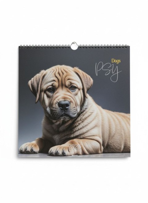 Kalendarz ścienny wieloplanszowy 330mm x 330mm Avanti (KD-20) Avanti