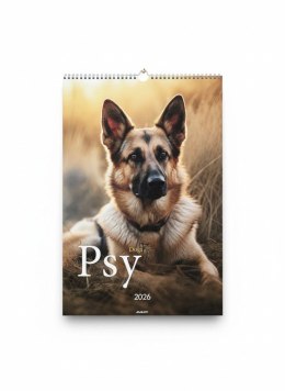 Kalendarz ścienny wieloplanszowy paskowy 285mm x 410mm Avanti (A3-14) Avanti