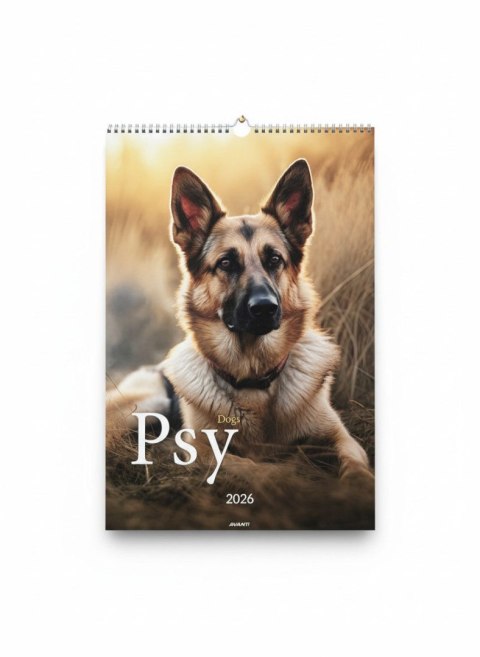 Kalendarz ścienny wieloplanszowy paskowy 285mm x 410mm Avanti (A3-14) Avanti