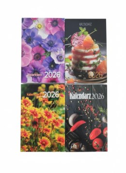 Kalendarz ścienny zdzierak 65mm x 100mm Avanti (5901769620544) Avanti