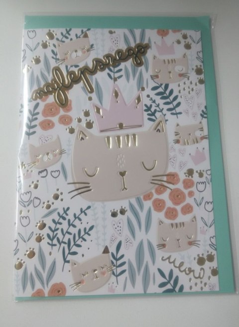 Kartka składana B6 B6 KOTY PATTERN Henry (5908451980672) Henry