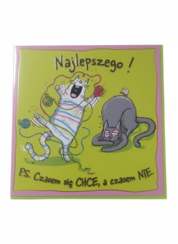 Kartka składana KW KOTKI PSOTKI kw Henry (5908451981846) Henry