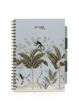 Kołozeszyt (kołonotatnik) AFRYKA pastelowy niebieski A4 100k. 80g krata Strigo (PADS068) Strigo