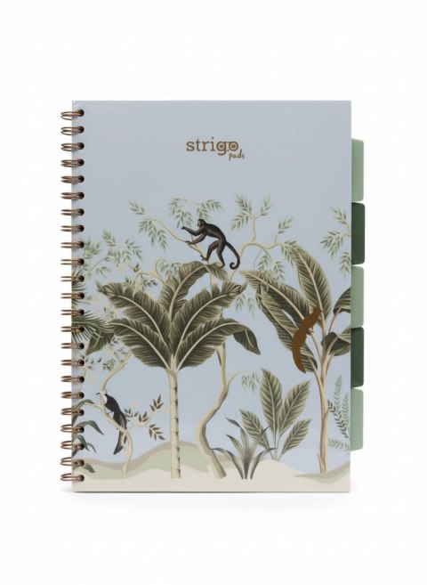 Kołozeszyt (kołonotatnik) A4 AFRYKA pastelowy niebieski 100k. 80g krata Strigo (PADS068) Strigo