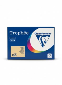 Papier kolorowy kolorowy morelowy A4 morelowy 250k. 160g Trophee (xca41011) Trophee