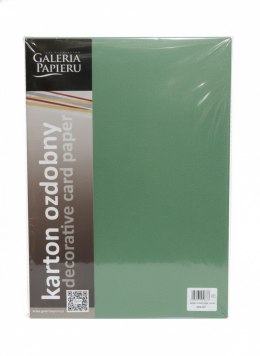 Papier ozdobny (wizytówkowy) Earth A4 Zielony 220g Galeria Papieru (204707) Galeria Papieru