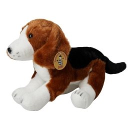 Pluszak pies Beagle [mm:] 300 Deef (04276) Deef