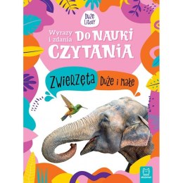 Książeczka edukacyjna Wyrazy i zdania do nauki czytania. Duże litery. Zwierzęta duże i małe Aksjomat Aksjomat