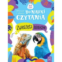 Książeczka edukacyjna Wyrazy i zdania do nauki czytania. Duże litery. Zwierzęta egzotyczne Aksjomat Aksjomat