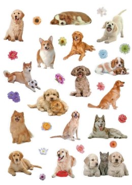 Naklejka (nalepka) Craft-Fun Series Psy Titanum Titanum