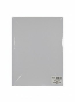 Papier ozdobny (wizytówkowy) pearl siamentowa biel A4 biały 135g Galeria Papieru (206211) Galeria Papieru