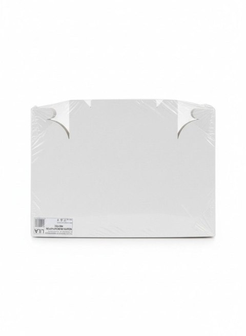 Tacka szufelka 25x18x6 tektura 100 szt 250mm x 180mm Lila Lila