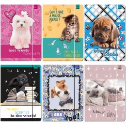 Teczka kartonowa na gumkę A4 mix Ev-corp (TA4BF1) Ev-corp