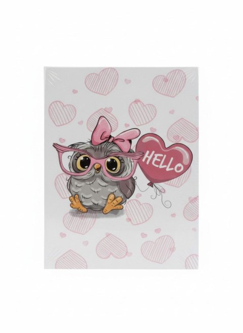 Album kieszeniowy Gedeon (DPH46304/2HELLOOWLPINK) Gedeon