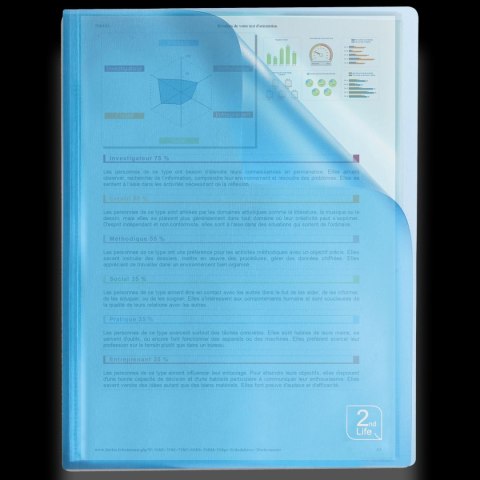 Album ofertowy Elba 2Life A4 40 kieszeni (400059343) Oxford